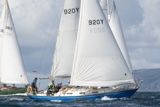 scintilla of the sea 920y whyw25 sun 800_7089